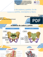 Anatomia de Cadera y Pelvis