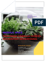 Modul Proyek Ipas Terarium Sebagai Model Ekosistem