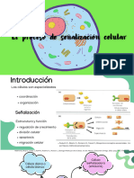 El Proceso de Señalización Celular