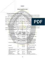 3 BAB II Tinjauan Pustaka