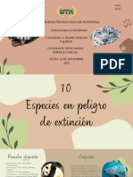 Álbum Animales en Peligro de Extinción