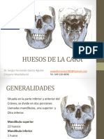 Huesos de La Cara Sfga