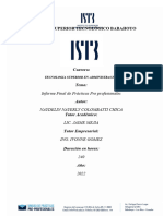 Informe Final Prácticas Preprofesional