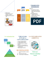 La Contaminación Ambiental