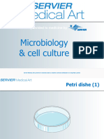 Microbiology Cellculture