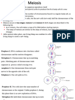 Cell Division, Meiosis