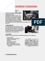 Documento Inseguridad Ciudadana Grupo 7