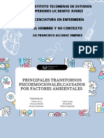 Principales Trastornos Psicoemocionales Causada Por Factores Ambientales