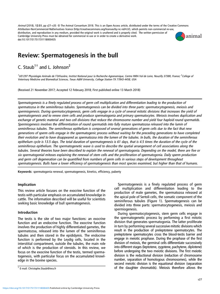 Review of Bull Spermatogenesis | PDF | Medical Specialties | Male Mammals