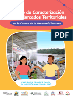 Estudiodemercadosterritorialesamazonia Final - Caso Bagua - Imaza 2022-1