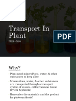 BioIGCSE 08 Transport in Plant