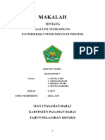 Makalah Asal Usul Nenek Moyang Di Indonesia