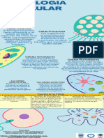 Infografía Ciencia Biología Células Ilustrada Azul