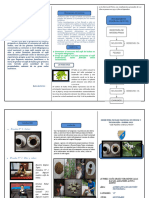 Modelo de tríptico- Feria de Ciencia 2023 (5)