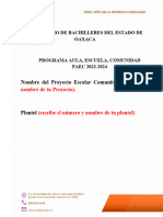 Estructura Del Reporte Del Pec Etapa2