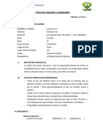 Ficha de Atencion - FORMATO