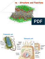 Cell Membrane AA 2023