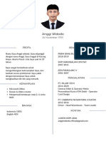 Curriculum Vitae Old