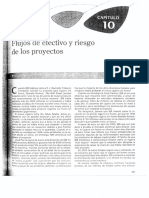 Flujos de Efectivo y Riesgo de Los Proyectos BESLEY