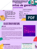 Helicobacter Pia FG