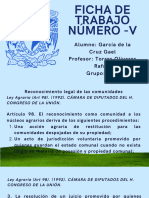 Ficha de Trabajo Número - V - Garcia de La Cruz Gael - 1704