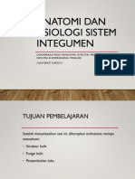 05 Integumentary System