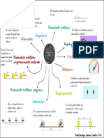 Esquema Conceptos Introductorios