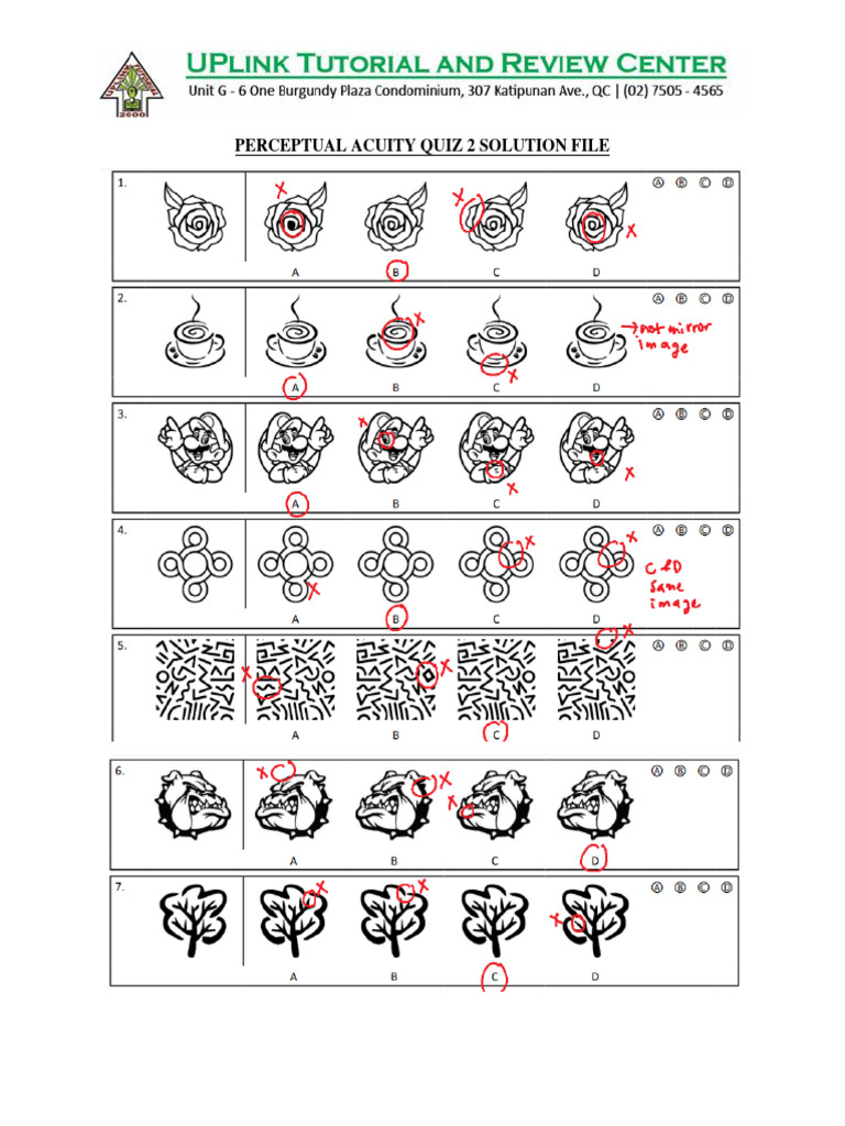 Perceptual Acuity Quiz 2 Solution File PDF