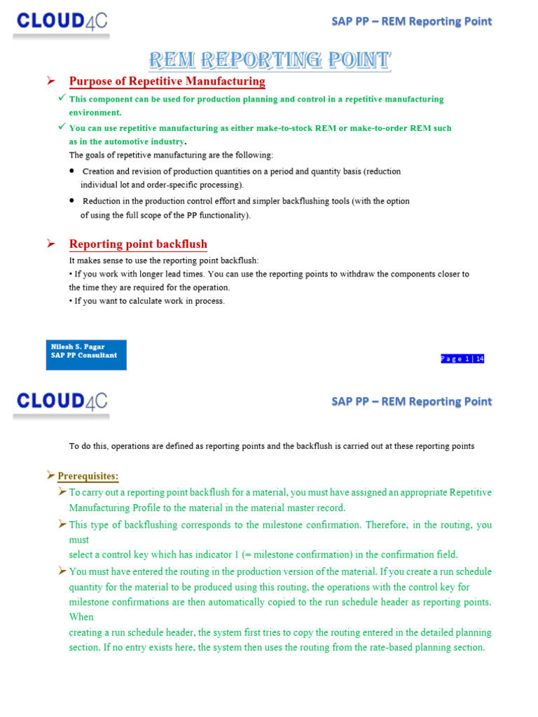 SAP PP REM Reporting Point Overview | PDF | Business | Computing