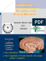2011 X 13 Telencéfalo Introducción A La Anatomía Psiquiátrica para Publicar