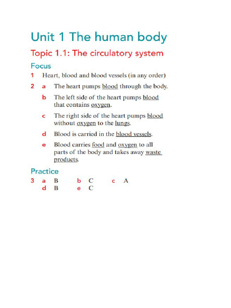 Unit 1 Workbook Answers | PDF
