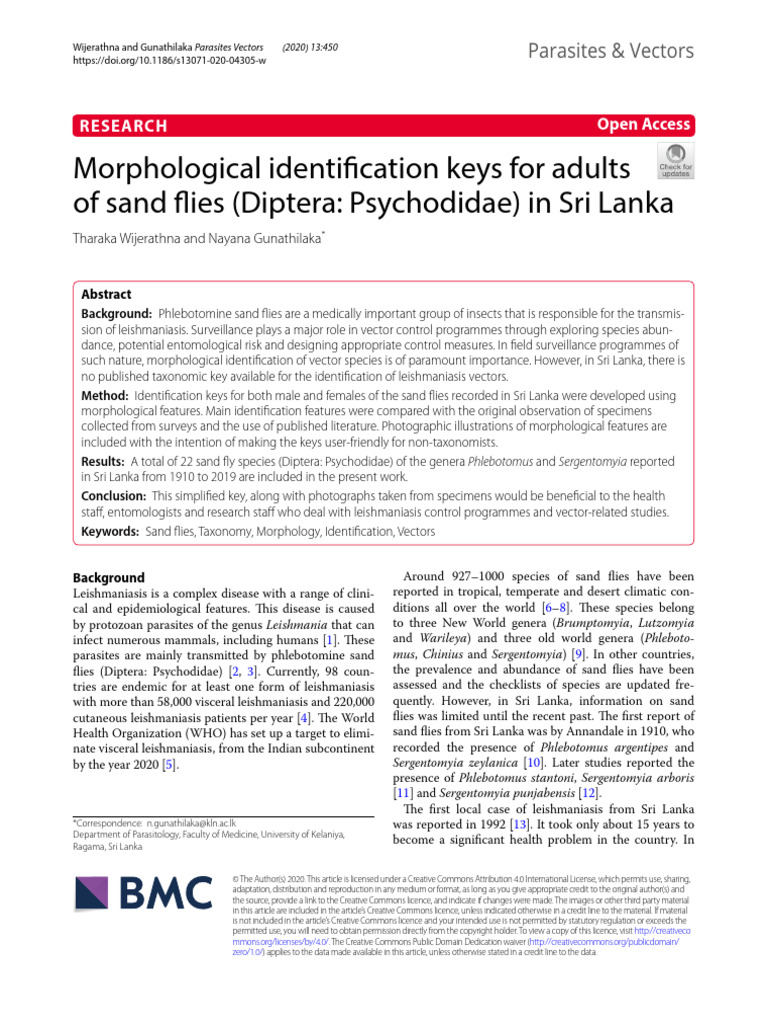 Morphological Identification Keys For Adults of Sand Flies (Diptera ...