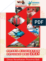 Profil Kesehatan Provinsi Bali 2021