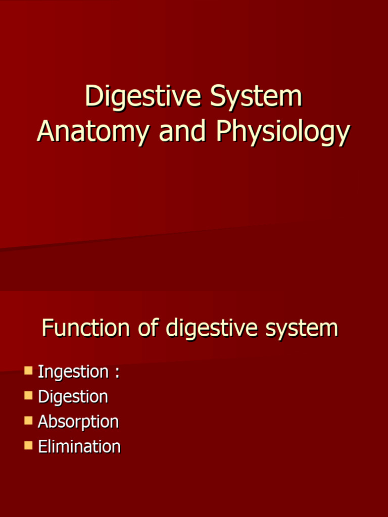 Digestive System Anatomy and Physiology PDF Stomach Esophagus