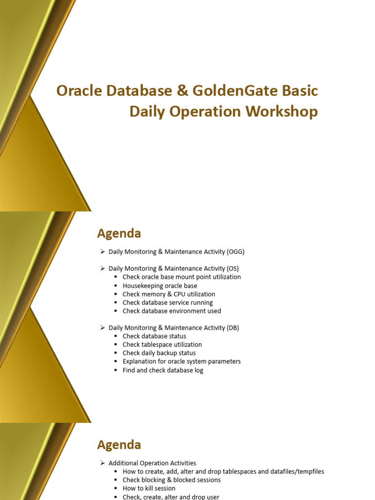 Oracle GoldenGate Daily Operations Guide | PDF | Databases | Computer Data