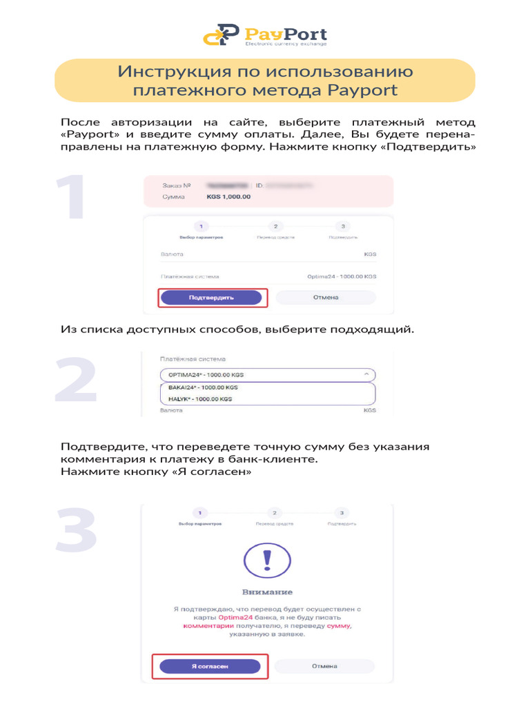 Payport Ru | PDF