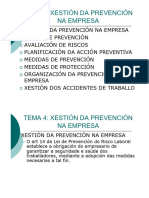 Tema 4. Plan de Prevención