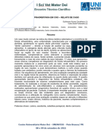 Resumo - Fístula Infraorbitária em Cão - Relato de Caso