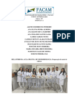 Relatório Equipe Evellyn Microbiologia 2