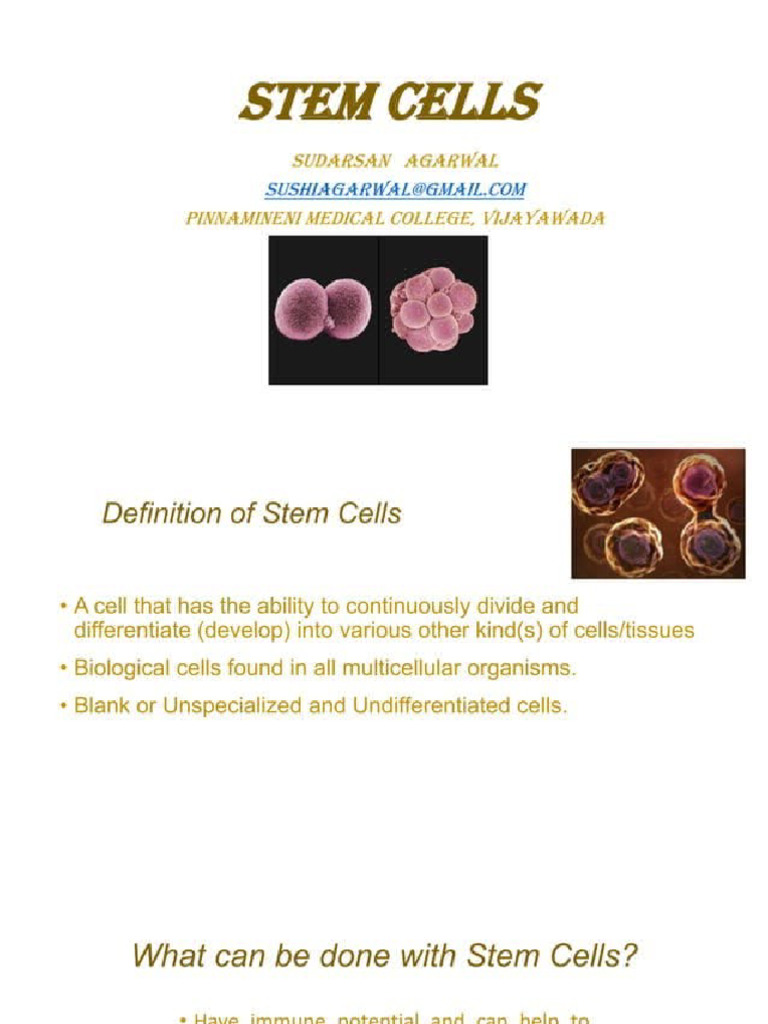 Stem Cell Division Biology Diagrams