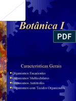 Botânica Briófitas e Pteridófitas