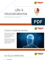 AULA 2 - Introdução À Neuroanatomia