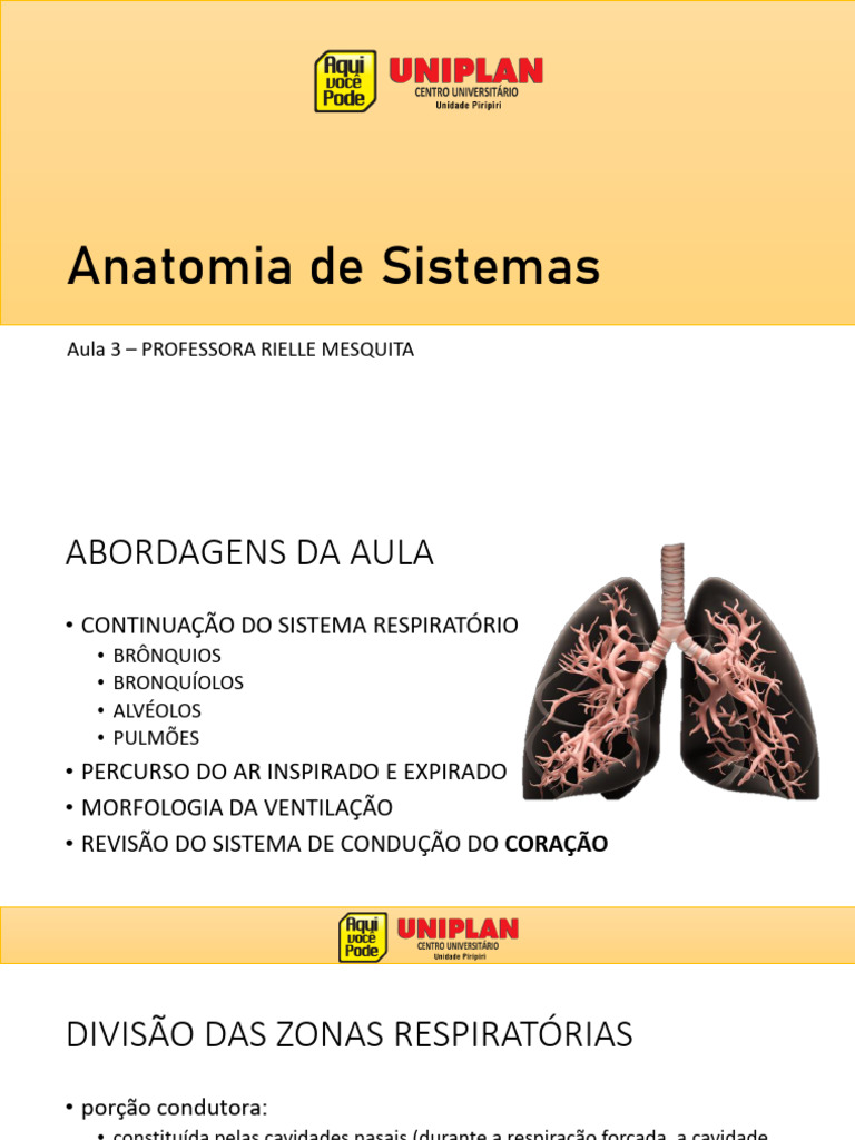 Aula 3 Anatomia De Sistemas Pdf Pulmão Sistema Respiratório