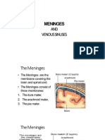 Bau Dent2008 Meninges and Venous Sinuses 2023