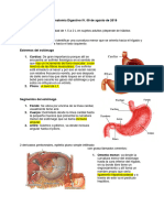 Anatomia Digestivo IV. 09 de Agosto de 2019