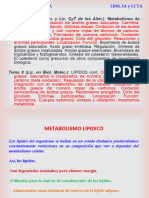 II Beta-Oxidacion y Cpos. Cetonicos