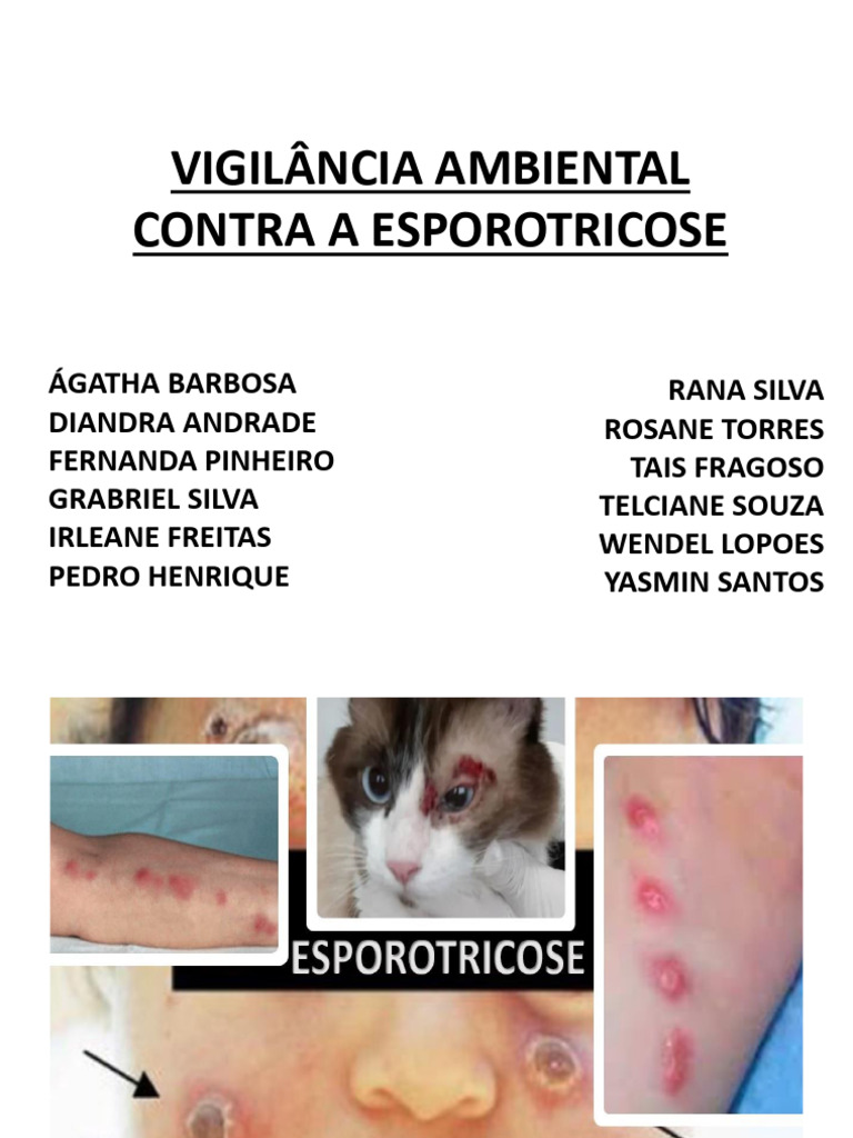 vigil-ncia-ambiental-contra-a-esporotricose-1-pdf-doen-as-e