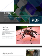 Dengue - N°4 Eduardo J