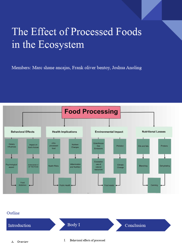 Processed Foods | PDF | Food Processing | Nutrition