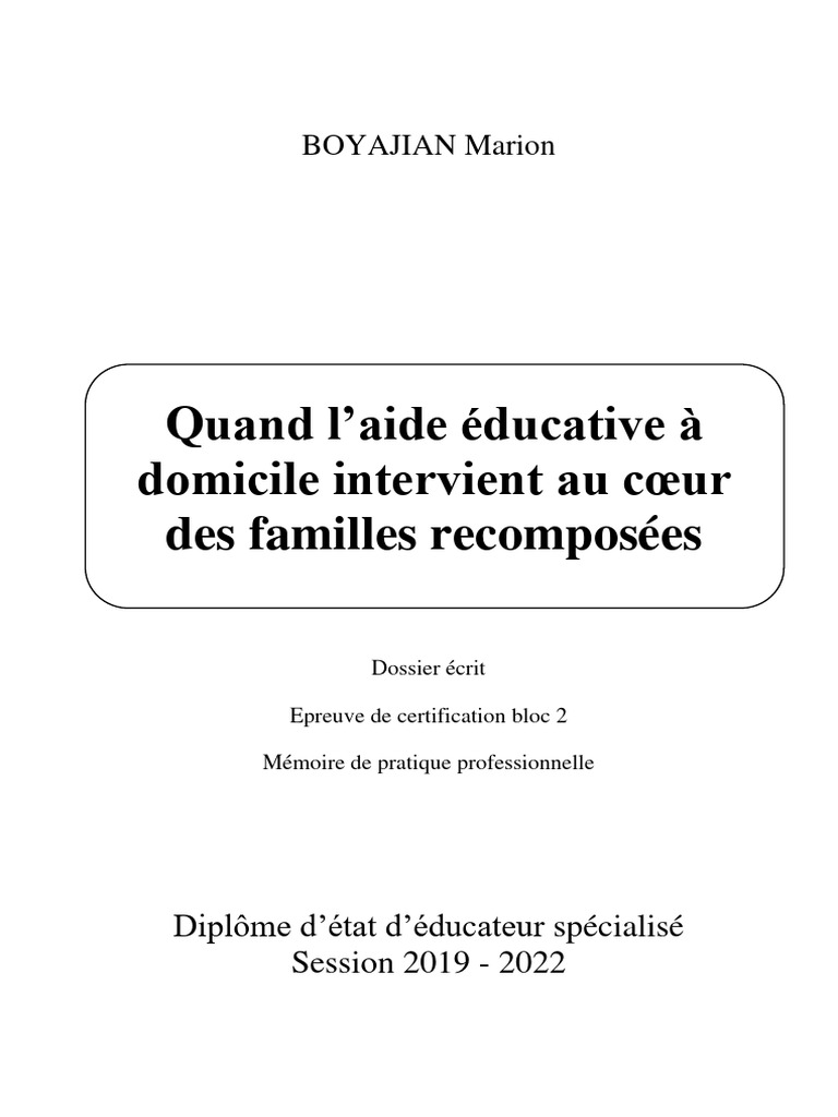 Mémoire de Pratique Professionnel 2022, PDF, Famille